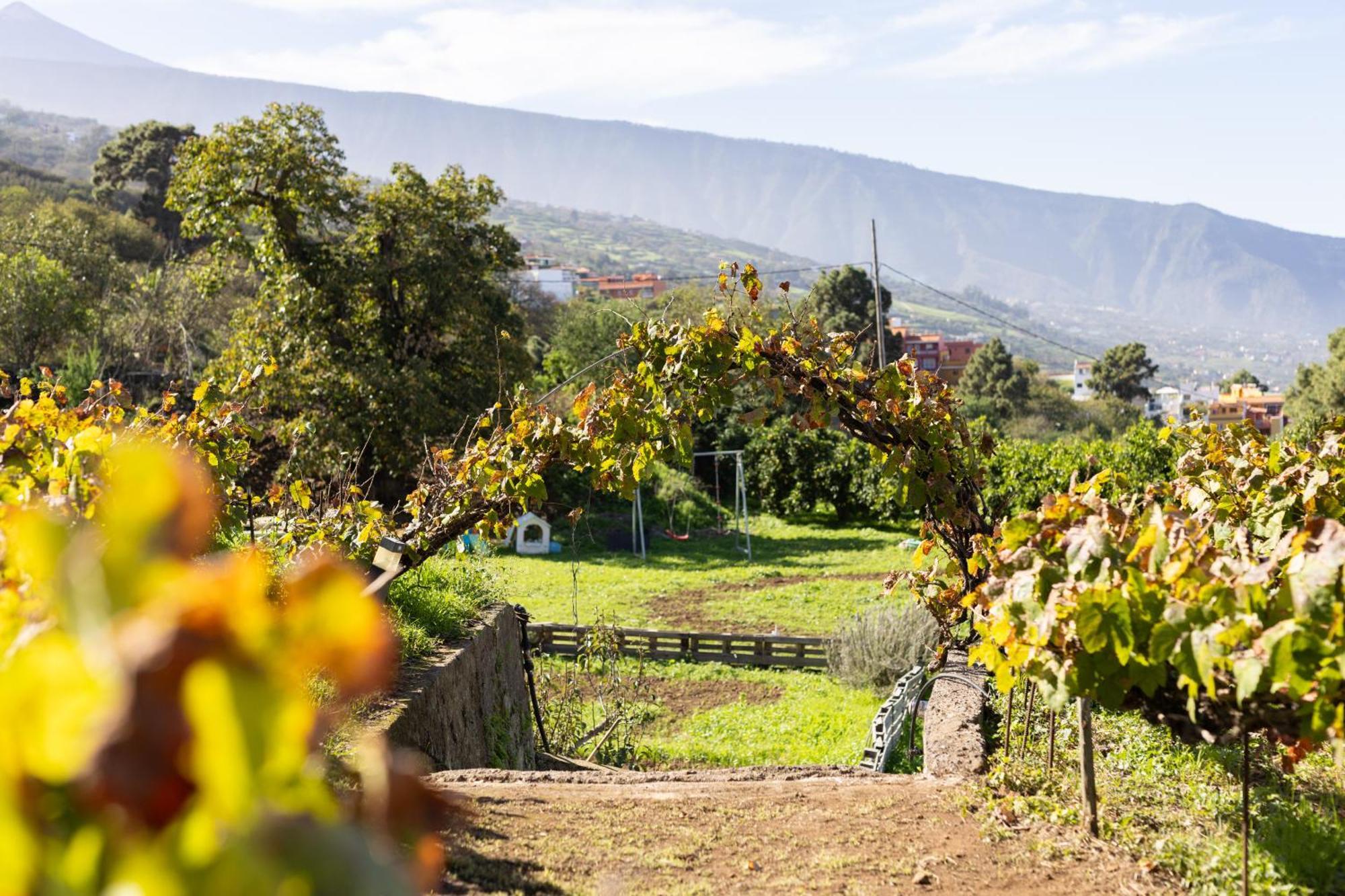 Ek Drago Finca El Milagro Ла Оротава Екстериор снимка