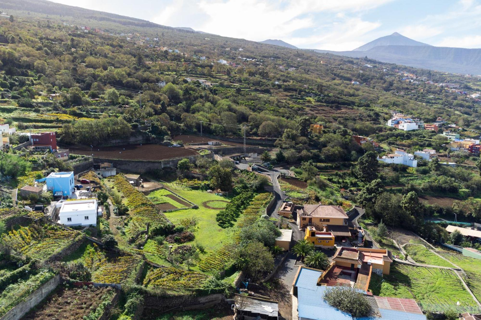Ek Drago Finca El Milagro Ла Оротава Екстериор снимка
