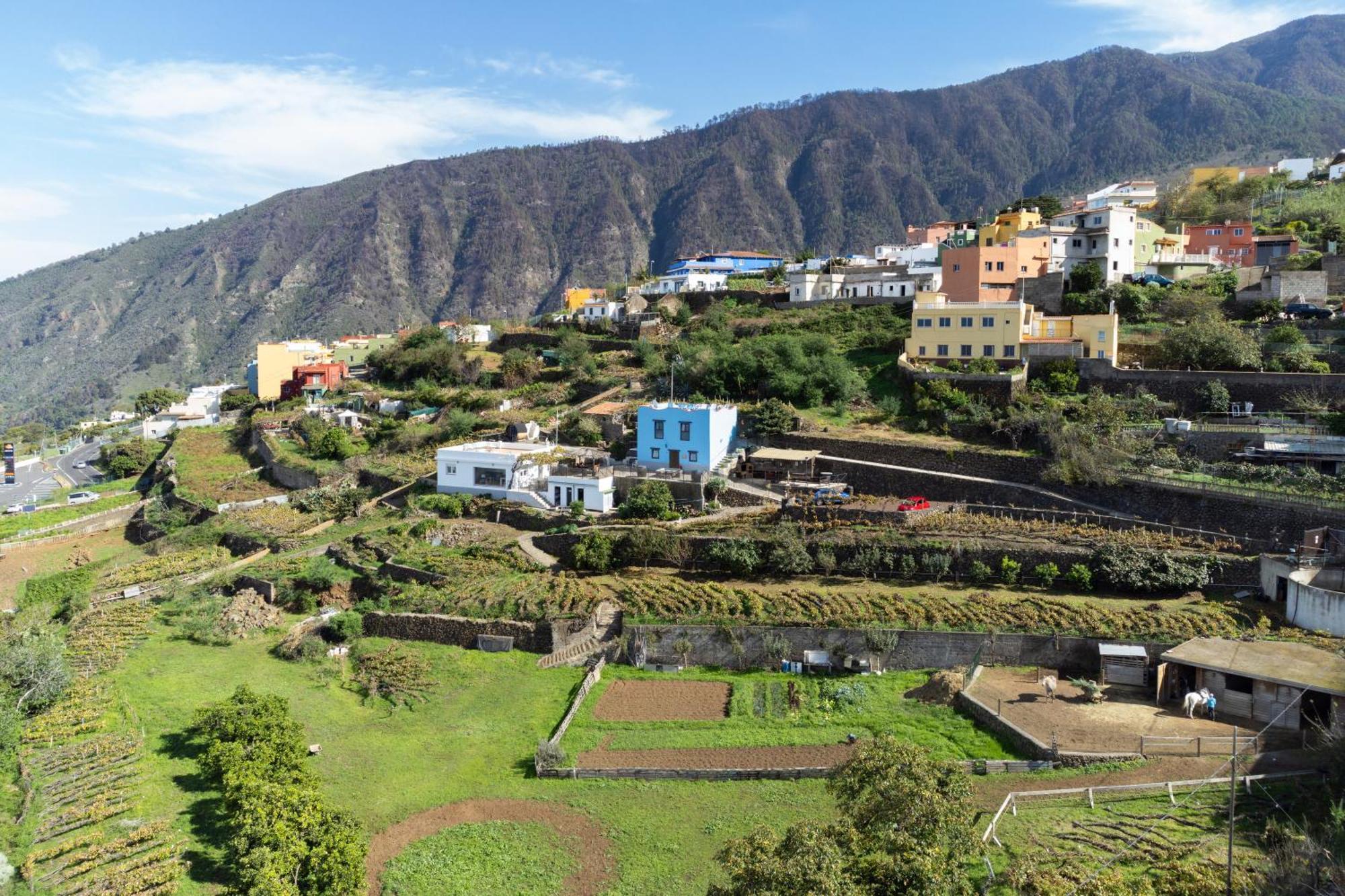 Ek Drago Finca El Milagro Ла Оротава Екстериор снимка