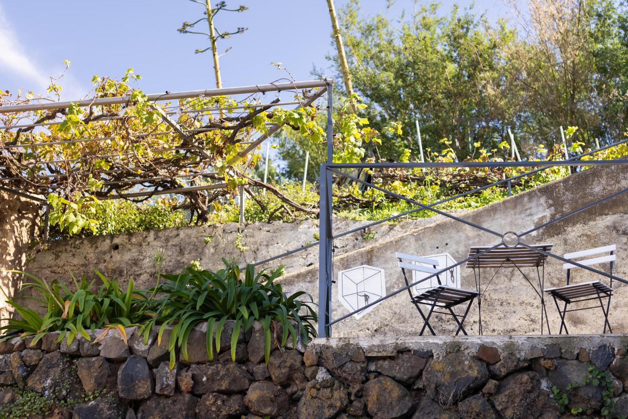 Ek Drago Finca El Milagro Ла Оротава Екстериор снимка